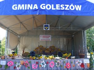 Powiększ obraz: Narodowe czytanie 2022 w Goleszowie