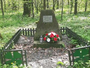 Powiększ obraz: Obelisk posadowiony w miejscu rozstrzelania Jerzego Wisełki, fot. T. Lenkiewicz