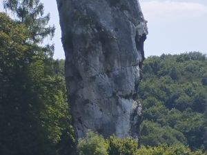 Powiększ obraz: W Ojcowskim Parku Narodowym