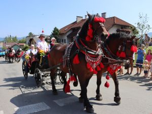 Powiększ obraz: Korowód cz. I