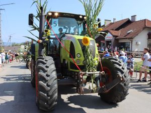 Powiększ obraz: Korowód cz. I