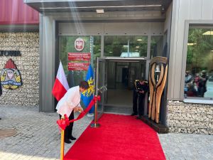 Powiększ obraz: 