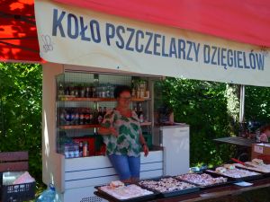 Powiększ obraz: 
