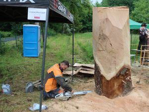 Powiększ obraz: IMG_8832