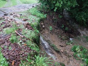 Powiększ obraz: WhatsApp Image 2025-07-28 at 07.53.34(1)