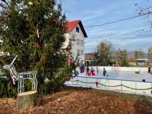 Powiększ obraz: Szkoła Podstawowa w Bażanowicach
