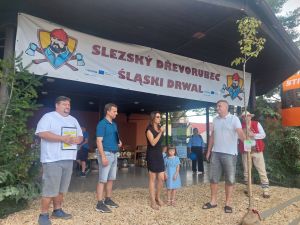 Powiększ obraz: 