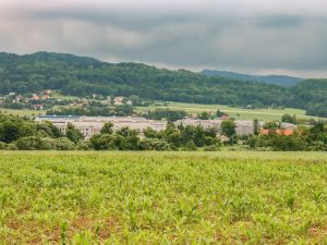 Powiększ obraz: Bażanowice, fot.: M. Śmierciak