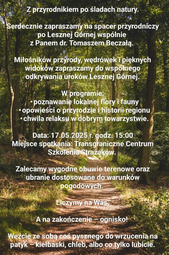 Zdjęcie Zdjęcie